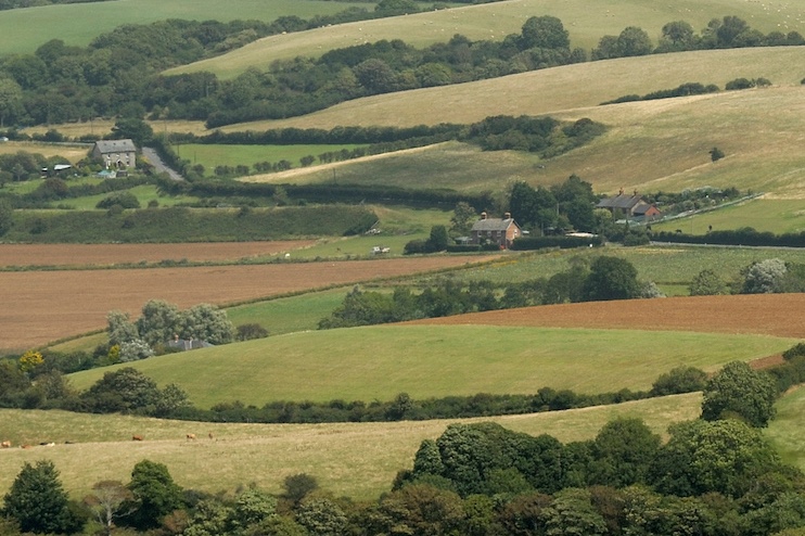 Parlamentari: la natura è indispensabile, non ostacolo, per costruire città dignitose