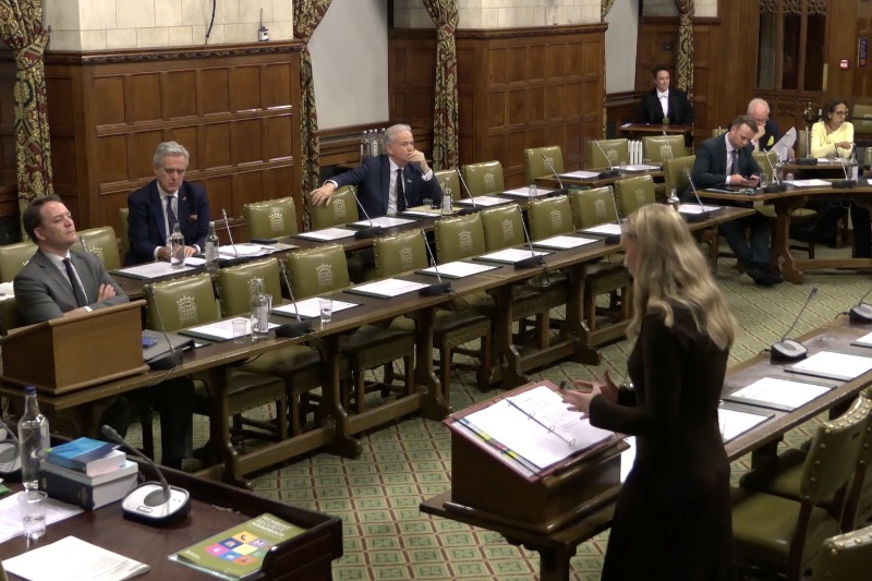 Il governo respinge la proposta di licenza obbligatoria per i costruttori: il dibattito parlamentare