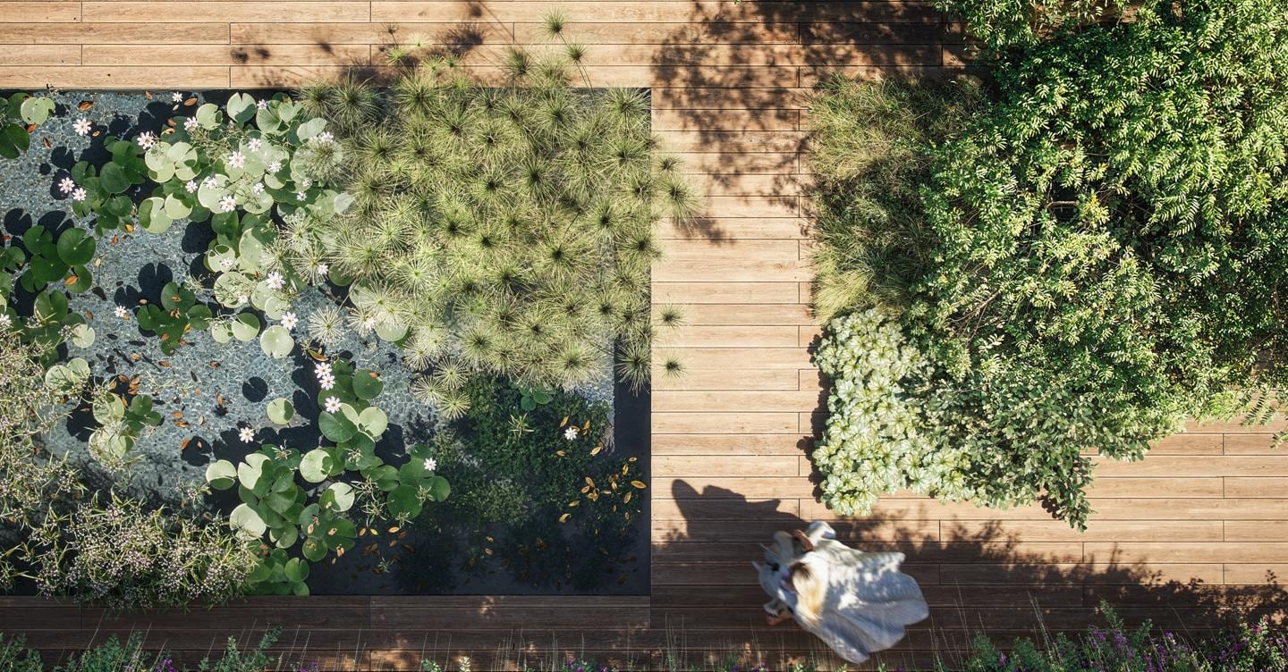 Verde urbano 2.0: come Milano e Singapore trasformano le città in ecosistemi funzionali