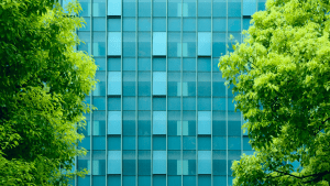 CAM 2026: Nuovi requisiti ambientali obbligatori per i contratti pubblici di edilizia