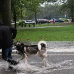 Bluebelt di Prospect Park: 68 milioni di dollari per contrastare le alluvioni a New York