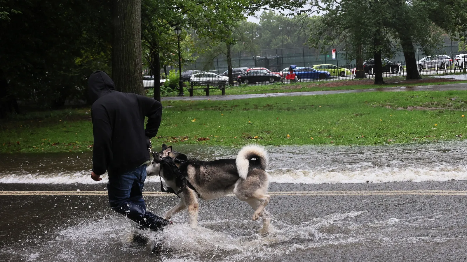 Bluebelt di Prospect Park: 68 milioni di dollari per contrastare le alluvioni a New York