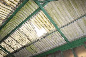 Sole trader condannato a 280 ore di servizio comunitario per incidente con subappaltatore caduto dal tetto di un edificio portuale